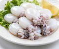 Delicate Baby Squid