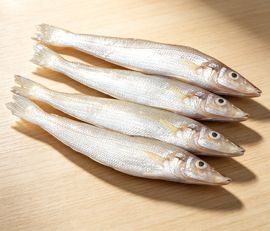 Fresh Whole Sea Fish